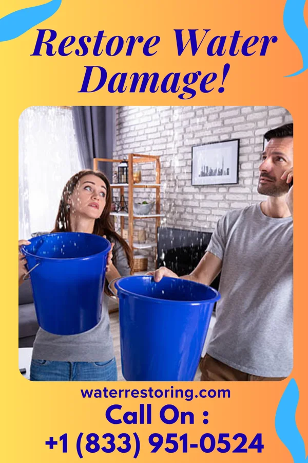 water restoration Sterling Water Repair Specialists Slaughter Beach