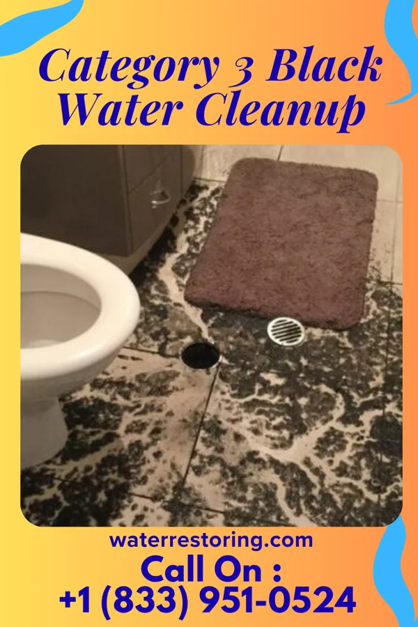Category 3 Black Water Cleanup in Slaughter Beach, DE