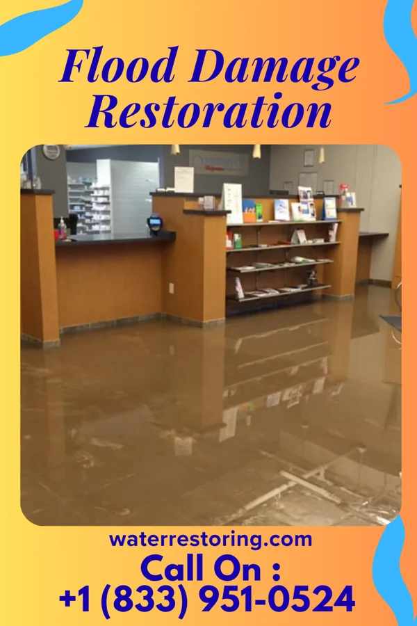 Flood Damage Restoration in Slaughter Beach, DE