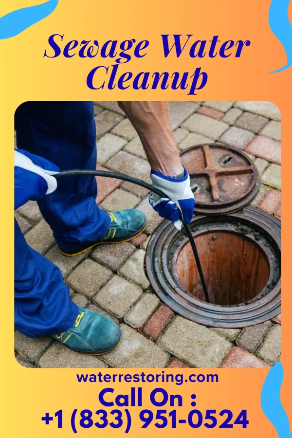 Sewage Water Cleanup in Slaughter Beach, DE